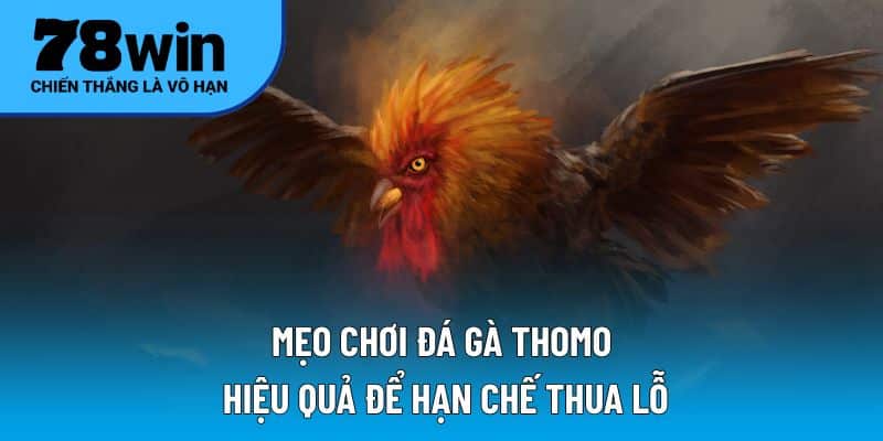 Mẹo chơi đá gà Thomo hiệu quả để hạn chế thua lỗ