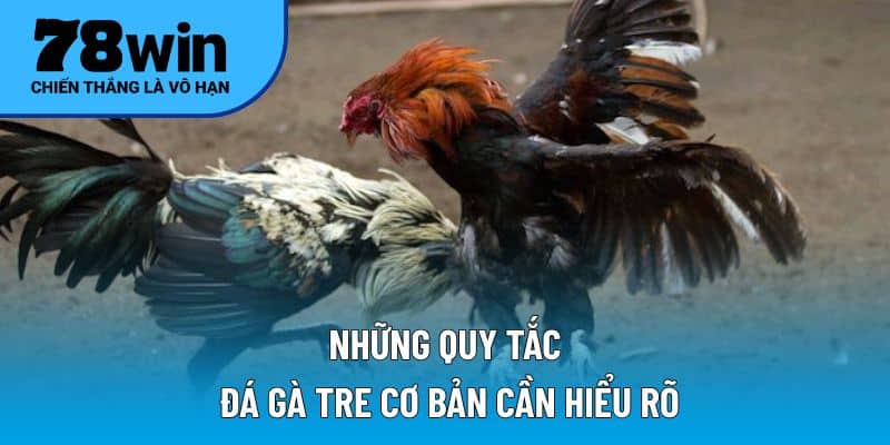 Những quy tắc đá gà tre cơ bản cần hiểu rõ